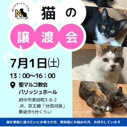 猫にゃんネットワーク府中⭐︎猫の譲渡会Andのら猫相談会