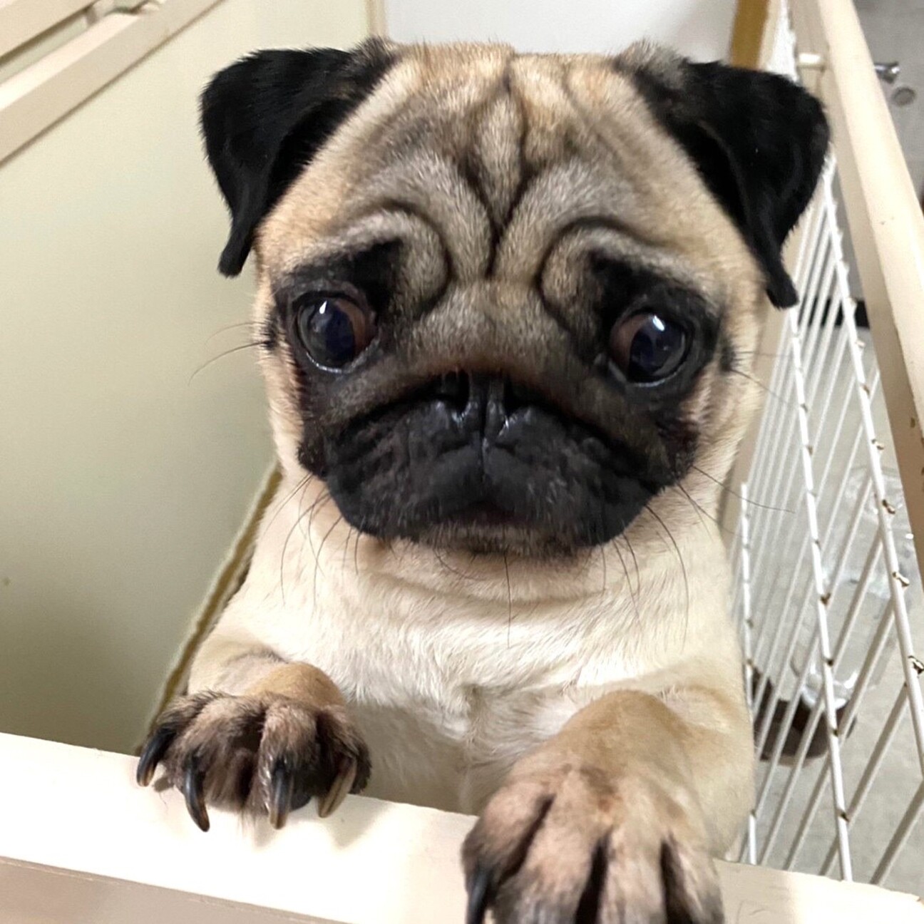 クリクリお目々の愛らしい女の子♡ サムネイル1