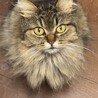 いつもこんな状態で見つめてくれている子でした