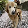 ライちゃん