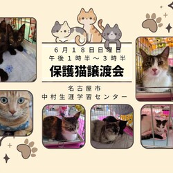 名古屋市中村生涯学習センター譲渡会