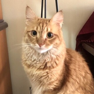 【7/2東銀座】テテくん2歳♪