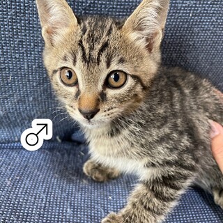 匂いフェチの男の子です！
