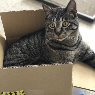 甘えた顔のイケメン君