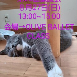 第25回　大口猫の会譲渡会＆バザー