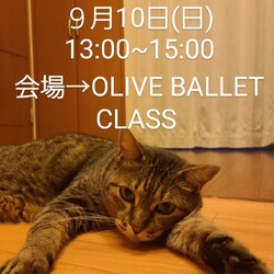 第26回　大口猫の会譲渡会＆バザー