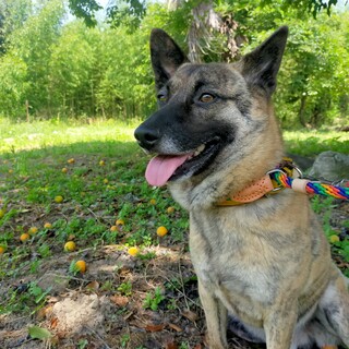 食いしん坊のげんくん