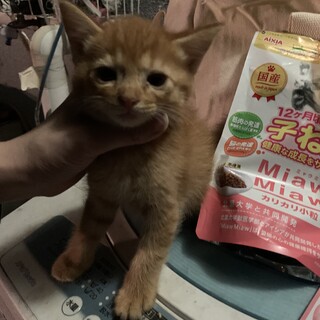 かわいい兄妹です