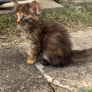 かわいい兄妹です