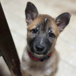 明るいキキくん！