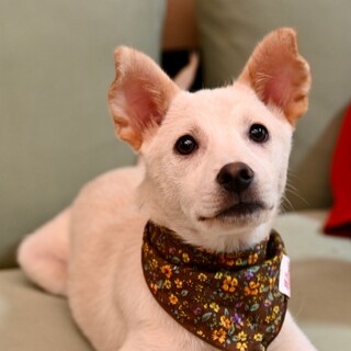 かわいいリビちゃん❤️