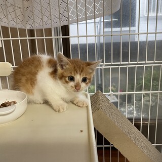 大きくクリクリな目がとても可愛い男の子❤️