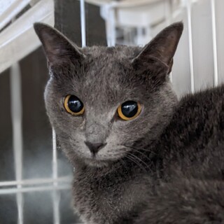 【6/18東日本橋】時間をかけて♡ロミーナちゃん