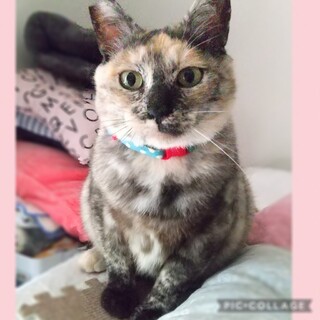 ゴロスリ温和ふんわりママなぎちゃん