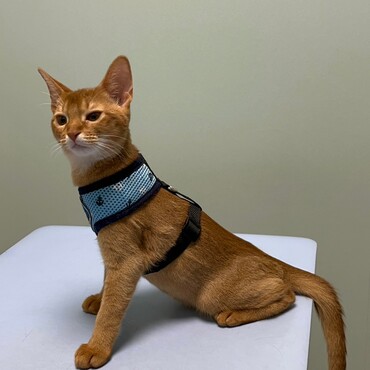 病院でワカサギ釣り