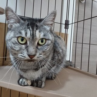 人が大好き♪遊ぶのも大好き♪