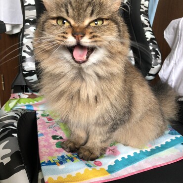 の写真