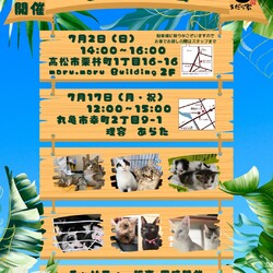 保護猫のお見合い会