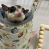 ミルク。