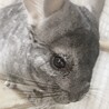 たくんぼ