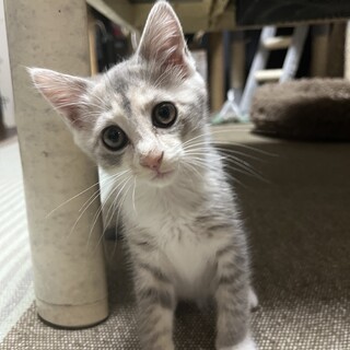 マイペースな生後3か月の女の子