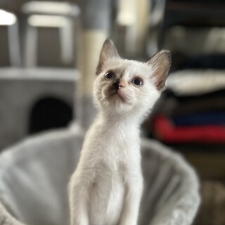 1ヶ月半4姉妹①