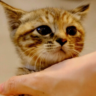 ちゃ〜ん♡家族ができました