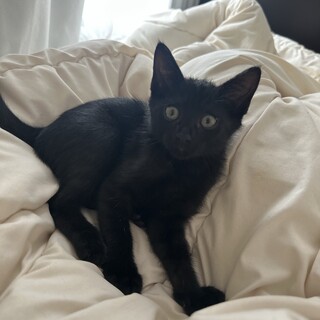 姉妹で遊ぶの大好き♡みみちゃん