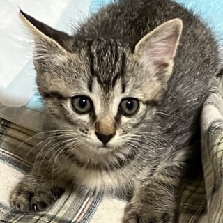 ♡のハルくん。フユくんと一緒に幸せになりました。