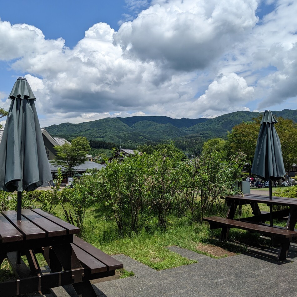 くるみのカバー写真