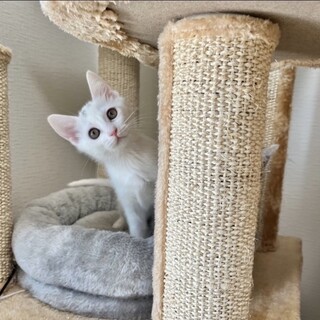 6/25稲毛海岸ෆ⃛可愛い４姉妹ෆ⃛まろみちゃん