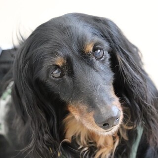 いっぱい甘えさせてね♪大人しくて優しい男の子♡