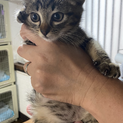 元気いっぱい☆イケメンな風くん