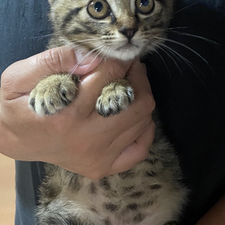 遊ぶの大好き☆イケメン凪くん