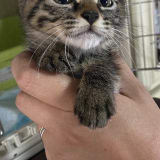 甘えん坊のスリゴロくん☆かおるくん