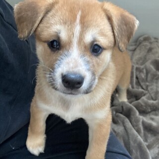 元気いっぱい可愛い男の子