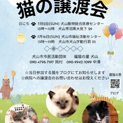 猫の譲渡会 @犬山市福祉活動センター