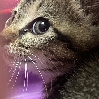 小さい子保護しました！