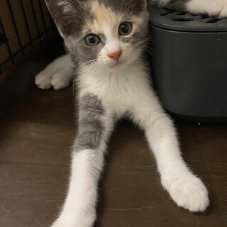 6/25稲毛海岸ෆ⃛元気な４兄妹ෆ⃛いくらちゃん