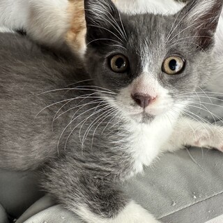 6/25稲毛海岸ෆ⃛元気な４兄妹ෆ⃛たらおくん