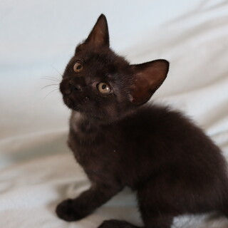 ダッコだ～い好きな女の子