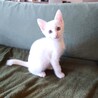 ■人の手で育ちました　あおさ君 サムネイル2