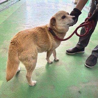 ありがとうございました！