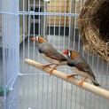 家族会議中です