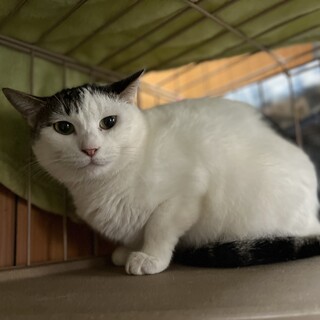 マヨちゃんに会いにきて♪