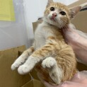 ※再投稿しました※新しい投稿をご覧ください