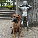 里親決定！多数のご応募ありがとうございました。