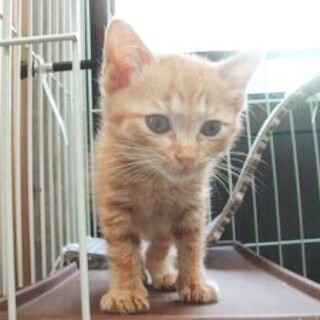 里親様決まりました★