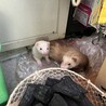 お気に入りの物置下