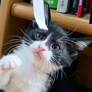 基本は優しいおっとりさん女子★もなか